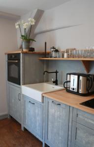 a kitchen with blue cabinets and a sink with flowers at Klopstock´s Herberge in Quedlinburg