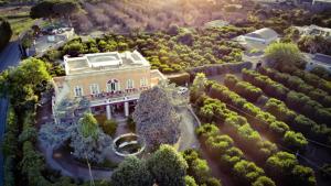 una vista aerea di una casa alberata di Villarancia ad Alezio