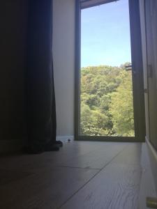 Příroda nedaleko hotelu
