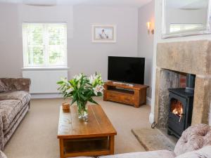 a living room with a fireplace and a television at Highcroft in Belper