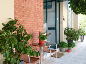 Φωτογραφία από το άλμπουμ του ΩΡΕΟΙ στα Λουτρά Αιδηψού +35 φωτογραφίες