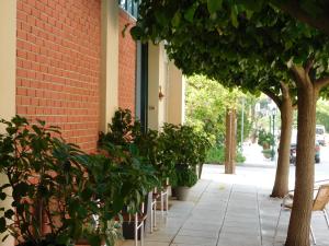 Φωτογραφία από το άλμπουμ του ΩΡΕΟΙ στα Λουτρά Αιδηψού