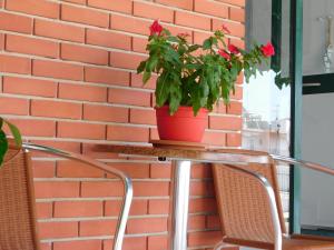 Φωτογραφία από το άλμπουμ του ΩΡΕΟΙ στα Λουτρά Αιδηψού