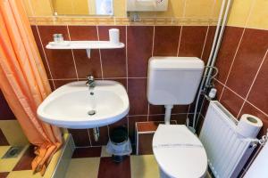 a bathroom with a toilet and a sink at Balaton Vendégház Fonyód in Fonyód