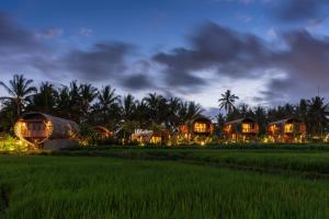 a villa in the middle of a rice field at night at Beehouse Dijiwa Ubud in Ubud