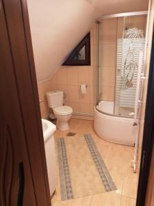 a small bathroom with a toilet and a shower at Deea Cascada in Vidra