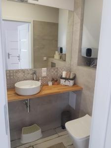 a bathroom with a sink and a toilet at Apartament Piasek i Morze in Rowy