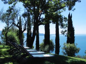 a group of benches sitting on a hill overlooking the water at Appartamenti Borgo in Gardone Riviera