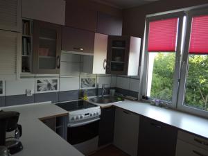 a kitchen with a stove and a sink and two windows at Apartament Monika in Sopot