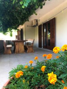 a garden with orange flowers in front of a house at Apartment Bura in Šibenik