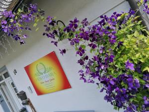 Une bande de fleurs violettes suspendues sur un mur dans l'établissement Sonnenhaus Bara, à Winterberg