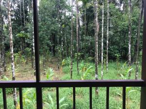 a window with a view of a forest of trees at Standard family hut in Tariyod
