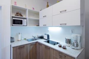 Kuchyňa alebo kuchynka v ubytovaní Modern Apartment Navrátilova II