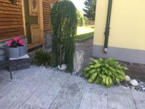 Jardí fora de Haus Tschirgantblick
