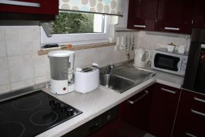Küche/Küchenzeile in der Unterkunft Apartman Antonia