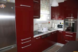 Küche/Küchenzeile in der Unterkunft Apartman Antonia
