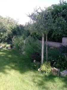 Ein Garten an der Unterkunft Apartman Antonia