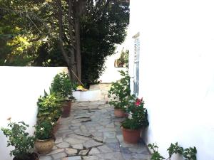 Zahrada ubytování Cozy & comfy Apt with Sea View in Chora Andros