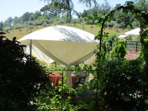 Kép Podere La Piana szállásáról Fivizzanóban a galériában