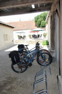 Jízda na kole v ubytování U Dr. Fausta nebo okolí