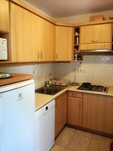 eine Küche mit Holzschränken und einem Waschbecken in der Unterkunft Soós Villa Balaton in Balatongyörök