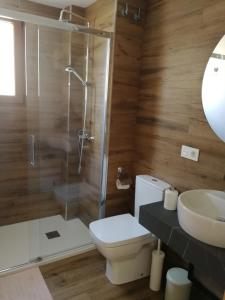 a bathroom with a shower and a toilet and a sink at Apartamentos La Réunion in Camarena de la Sierra +14 photos