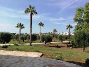 Zahrada ubytování Villa Elia - Tenuta Le Scerze - Salento Homes