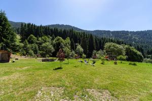 Příroda nedaleko bed and breakfast