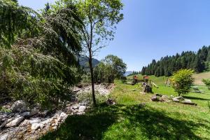 Příroda nedaleko bed and breakfast