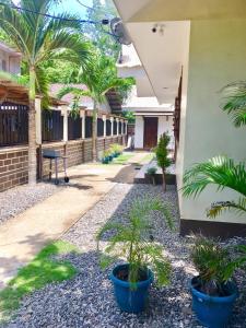 a courtyard of a building with plants in pots at Johann’s Place Panglao in Panglao