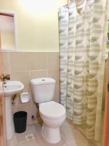 a bathroom with a toilet and a shower curtain at Johann’s Place Panglao in Panglao