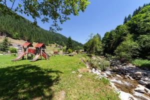 a playground in a field next to a river at Affittacamere Lozen in Canale San Bovo