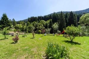 Příroda nedaleko bed and breakfast