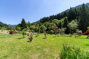 Příroda nedaleko bed and breakfast