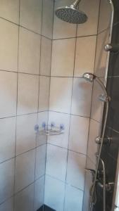 a shower with a glass door and a shower head at La Tour aux Tilleuls in Lorlanges