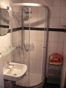 a bathroom with a shower and a sink at Ferienwohnungen Kasparbauer in Regen +15 photos