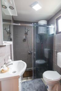 uma casa de banho com um chuveiro, um WC e um lavatório. em Brvnare Krstigora em Zaovine