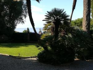 a group of palm trees in a yard at Resort Villa San Luca CITR8031 in Imperia
