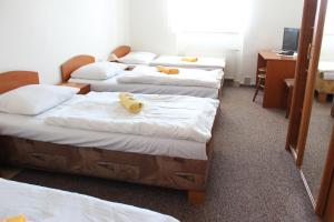 um quarto com quatro camas com ursos de peluche em Penzión Zlatý Dukát em Zvolenská Slatina