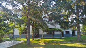Vonkajšia záhrada v ubytovaní Langhe di Liguria B&B