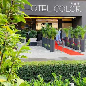 Zahrada ubytování Hotel Color