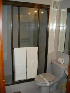 a bathroom with a toilet and a shower with towels at Apartamentos Santa Maria in Bogotá