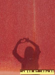 una sombra de una persona en una pared roja en CAMPO DE SOBARBO - Guest House rural, en Penafiel