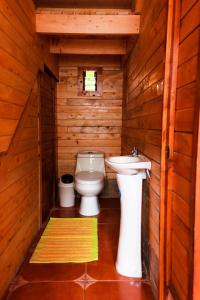 a bathroom with a toilet and a sink at Clusia Lodge in El Copey