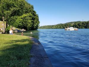 a group of people on the shore of a lake at Hotel Rheinbrücke in Rheinfelden