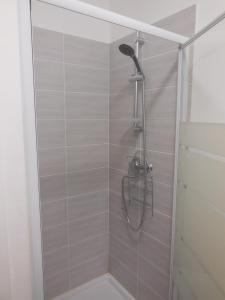a shower with a shower head in a bathroom at Beau 2 pieces Vieux port de Marseille in Marseille