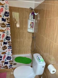 a bathroom with a toilet and a shower curtain at La Finca de Los Padres in Tefía