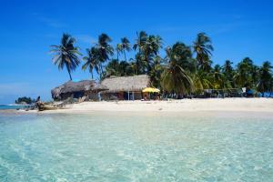 a beach with a hut and palm trees and the water at Hotel El Porvenir in El Porvenir