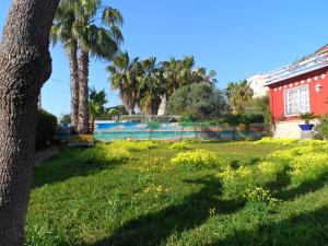 a yard with palm trees and a swimming pool at Apartamento con terraza y vistas al mar in Burriana