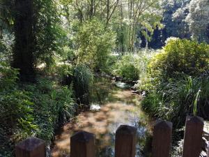 Zahrada ubytování Le vieux moulin